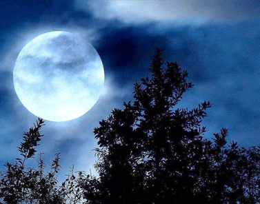 关于月亮的温柔浪漫神仙句子 描写月亮的好听句子2